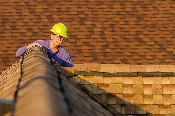Best Roof Leak Repair  in Brownsville, KY