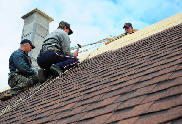 Quick and Trustworthy Emergency Roof Repair Services in Brownsville, KY