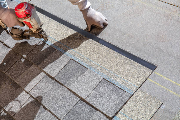 Professional Roofing Contractor in Brownsville, KY